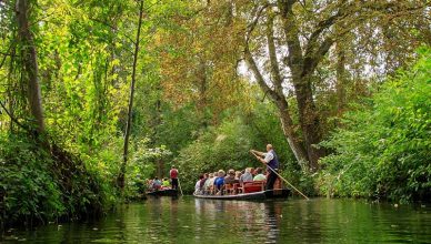 Spreewald