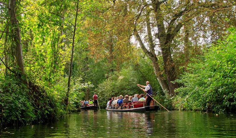 Spreewald