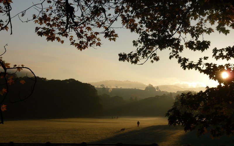 Baden Baden Fall Lichtentaler Allee