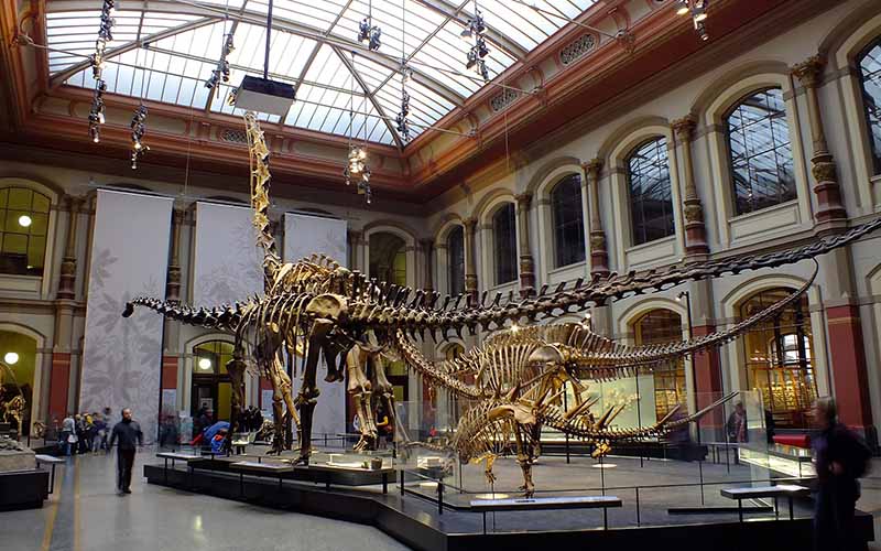 Natural History Museum