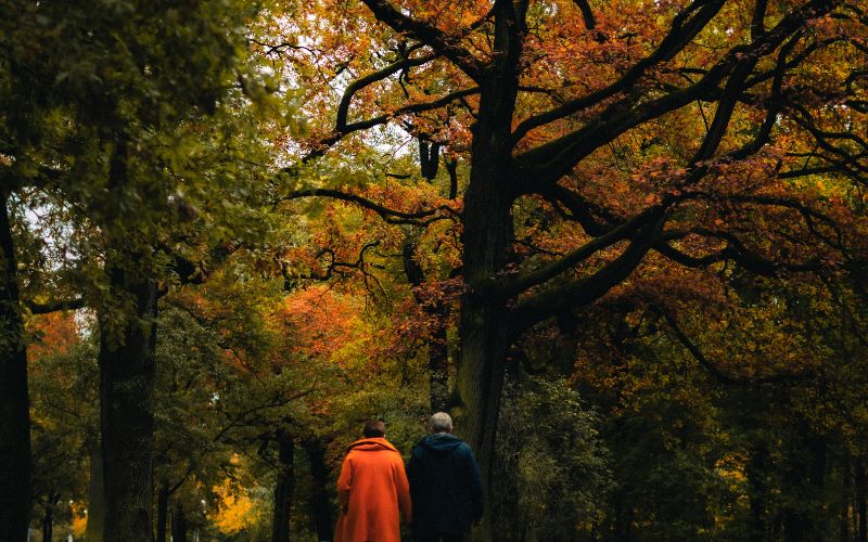 Germany in Autumn