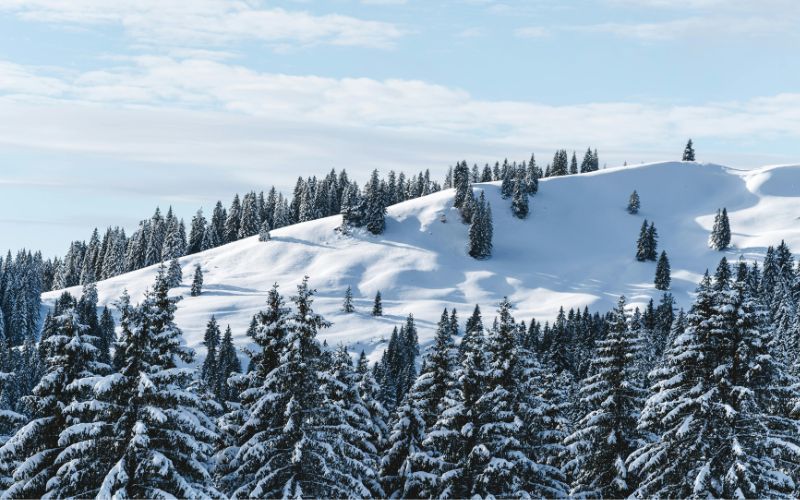 The Bavarian Alps